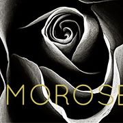 10-28-morose