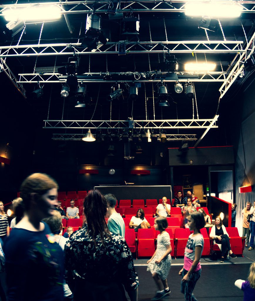 Dansles, musicalles, zangles, toneelles o beeldenfde kunstles in Sittard-Geleen volg je natuurlijk bij Pitboel Art School!