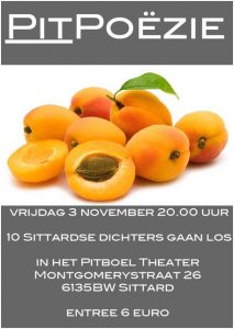 Pit poezie